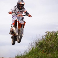 Austin Arkley