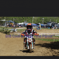 Carter  Griffith