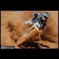 Mitch Alcorn