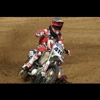 Dalton Flowers