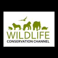 Wildlifecon servationchann
