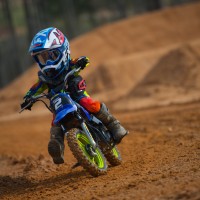 Jase Wells