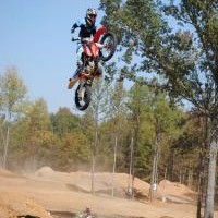 cody steiner