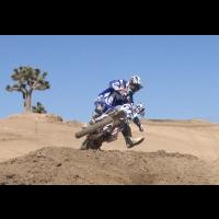 Brad Lovell