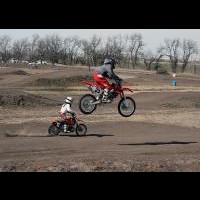 Brandon Pellicano