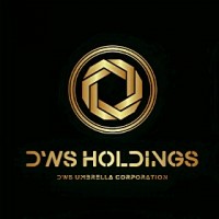 dws holdings0