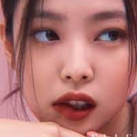 velvet 236