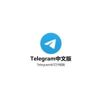 Telegram 中文版