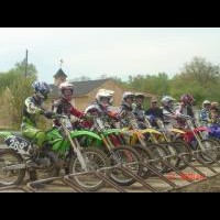 David Wulfing