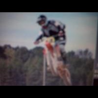 Jake Curtis