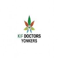 KifDoctors  Albany