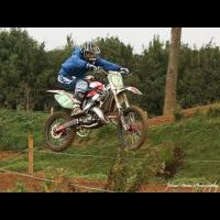 Martin venner