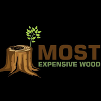 Most  Expensive  Wood