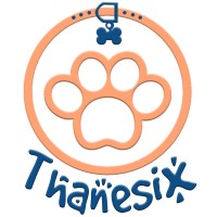 Thanesix com