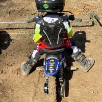 Brody  Morris