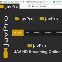 Jav JavPro