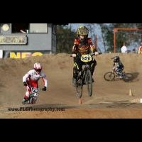 Devin Brown