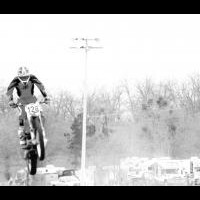 Timbo Wheelus