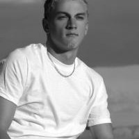dalton norton