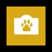 Pet Memorial  Stones
