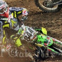 Liam Ellis