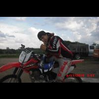 tylor phillips