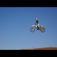 alex willis