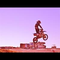 tanner Marden
