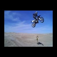 Travis Searl