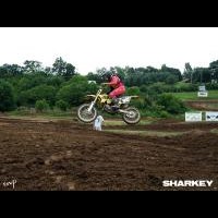 patrick sharkey