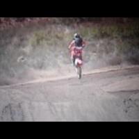 connor mccarthy
