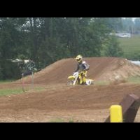 travis adams
