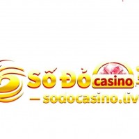 SODO 66