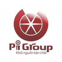 Picity Pigroups
