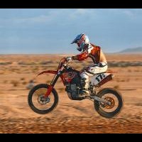 tim theodore