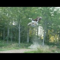 jed foltz