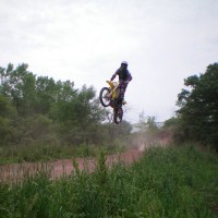 Shane Will