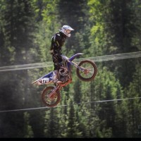 Collin Maronese