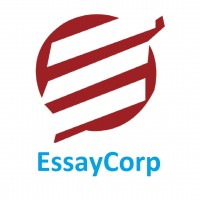 Essay Corp
