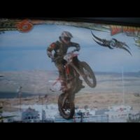 Patrick Streiff