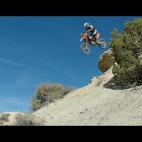 Tyler Anderson
