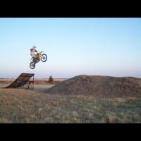 Austin Robson