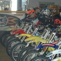 shaun mccoy