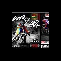 Ray Downing Jr