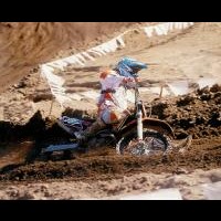 David Smith