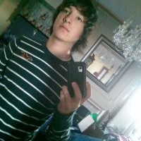 Carson Stone