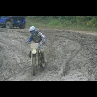 cody collins
