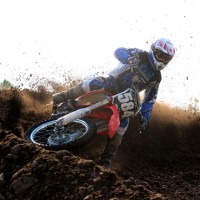Bonzai Billings