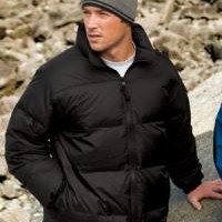 Chris Honnold