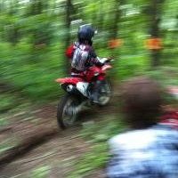 kody sakely